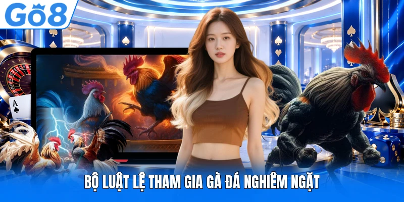 Bộ luật lệ tham gia gà đá nghiêm ngặt