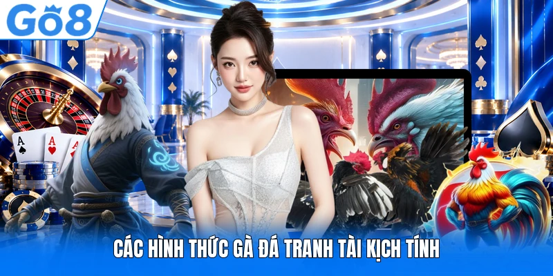 Các hình thức gà đá tranh tài kịch tính